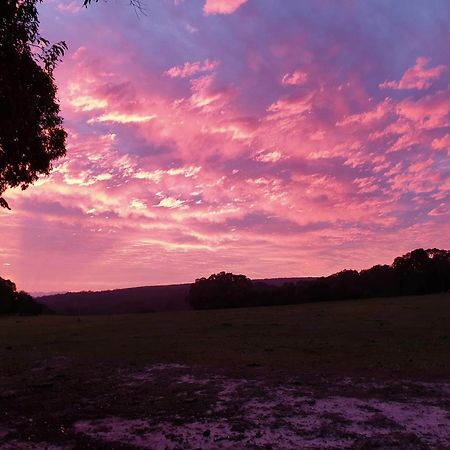 Bussells Bushland Cottages Margaret River Buitenkant foto