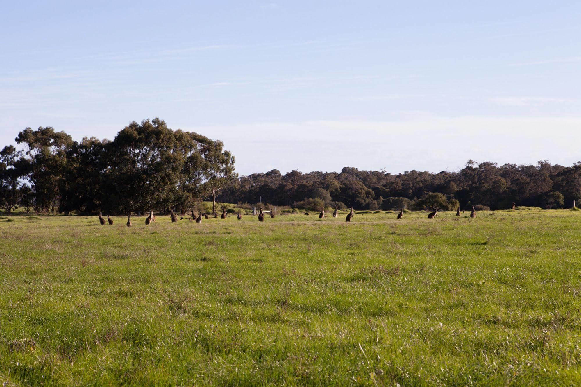 Bussells Bushland Cottages Margaret River Buitenkant foto